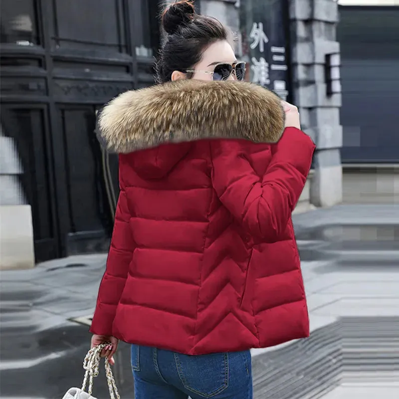 Autumn Female Jacket  Hooded Winter Coat women's Jacket RJ