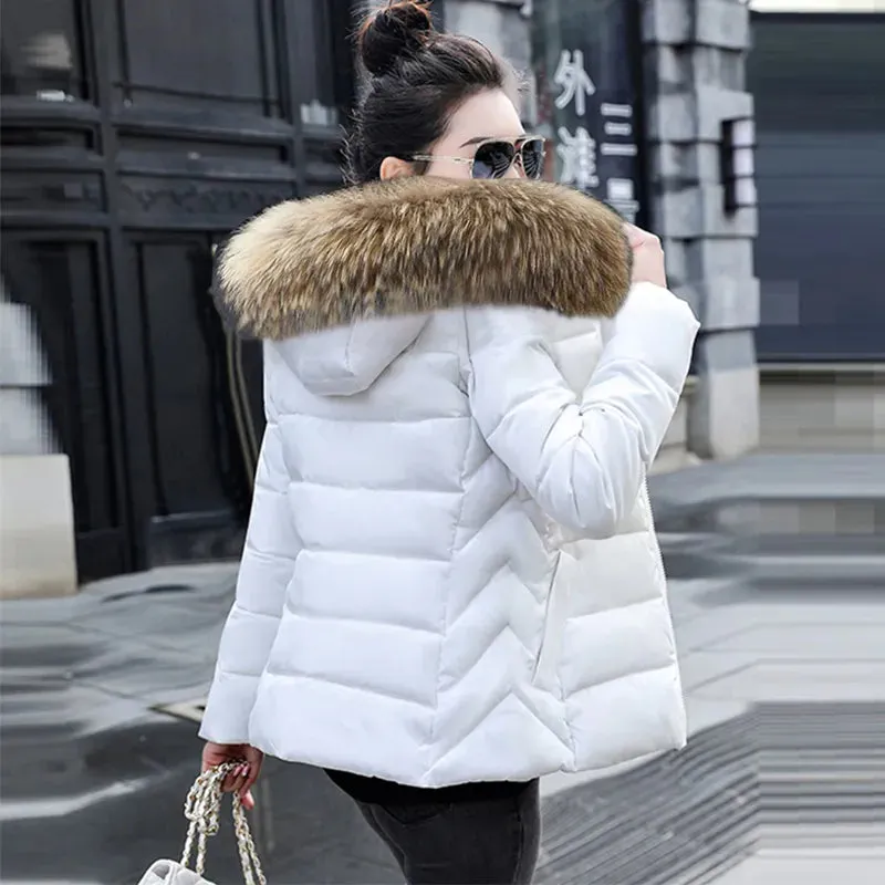 Autumn Female Jacket  Hooded Winter Coat women's Jacket RJ