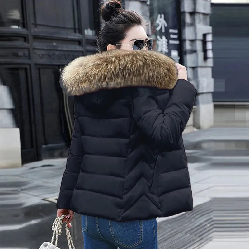 Autumn Female Jacket  Hooded Winter Coat women's Jacket RJ