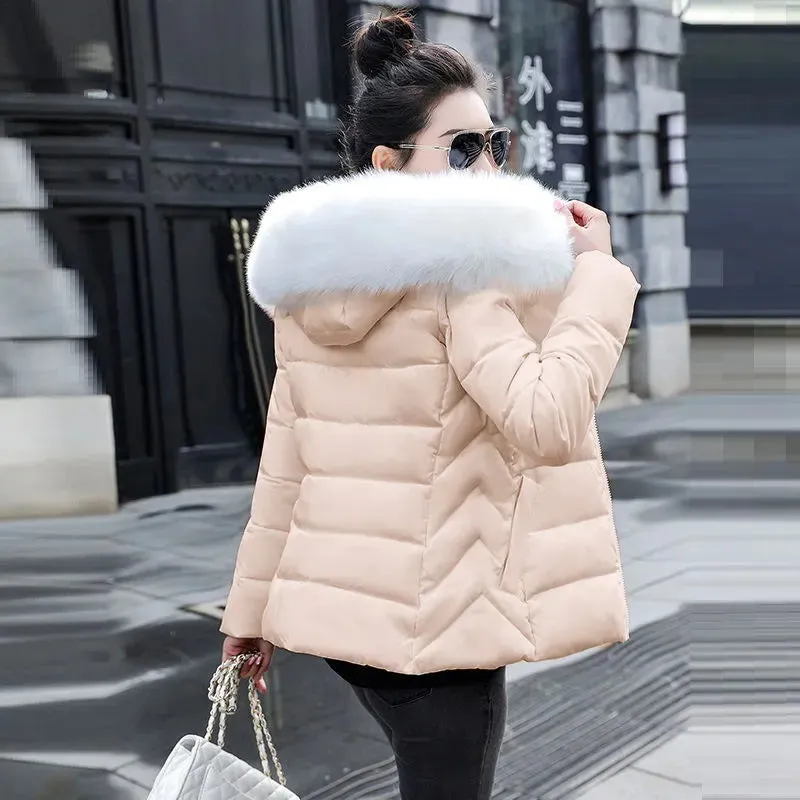 Autumn Female Jacket  Hooded Winter Coat women's Jacket RJ