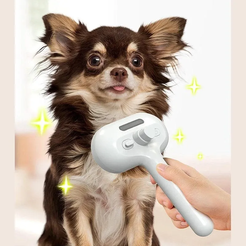 Fangshion Electric Brush