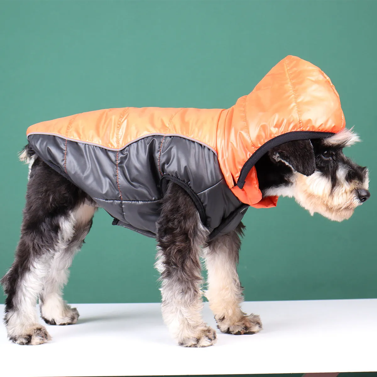 Ozzie - Dog Winter Hoodie with Removable Hat