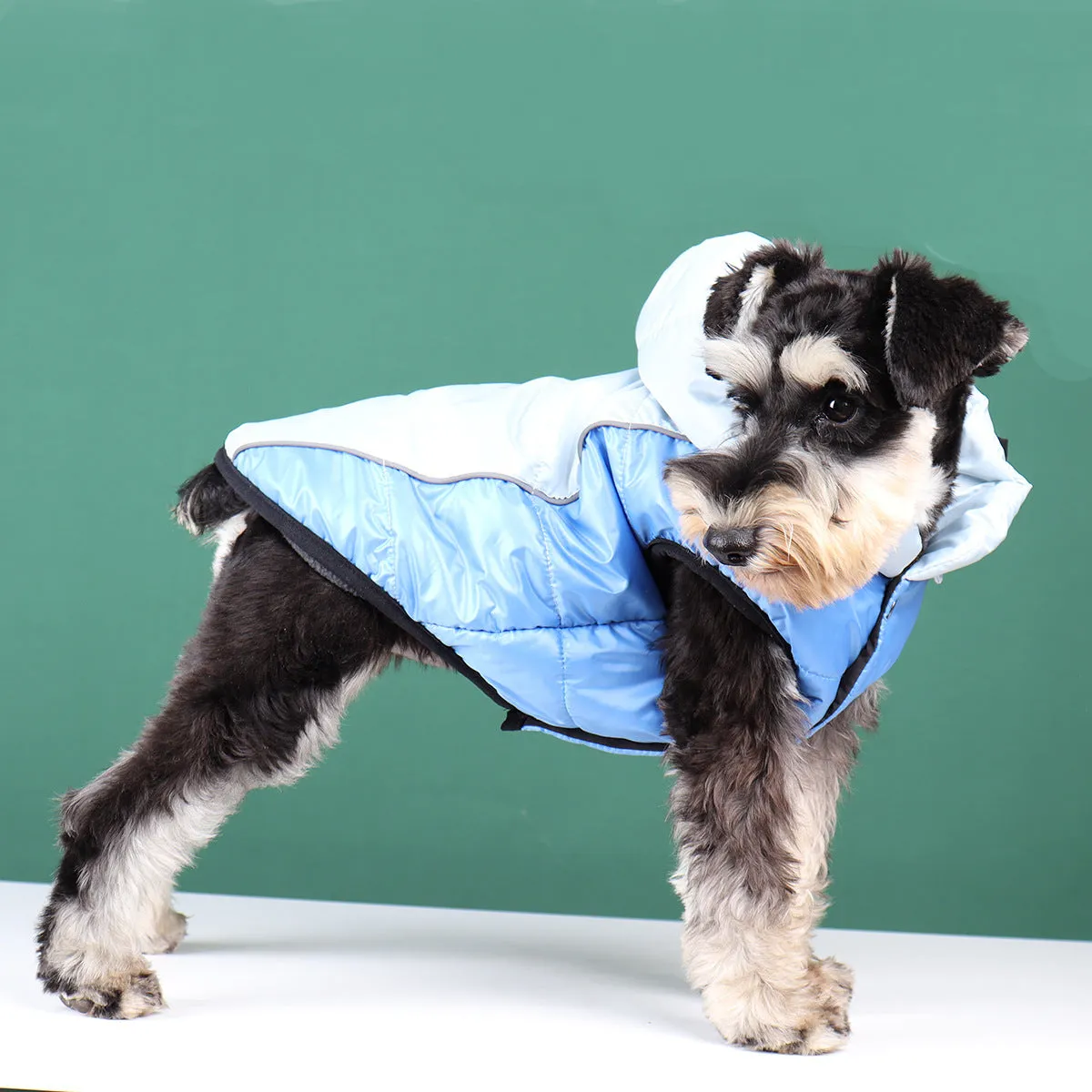 Ozzie - Dog Winter Hoodie with Removable Hat