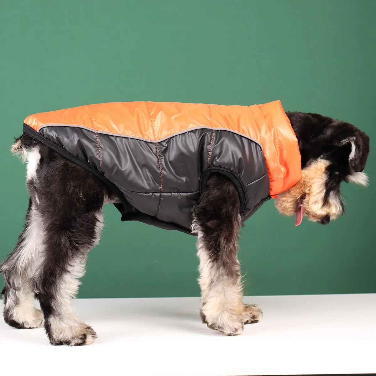 Ozzie - Dog Winter Hoodie with Removable Hat