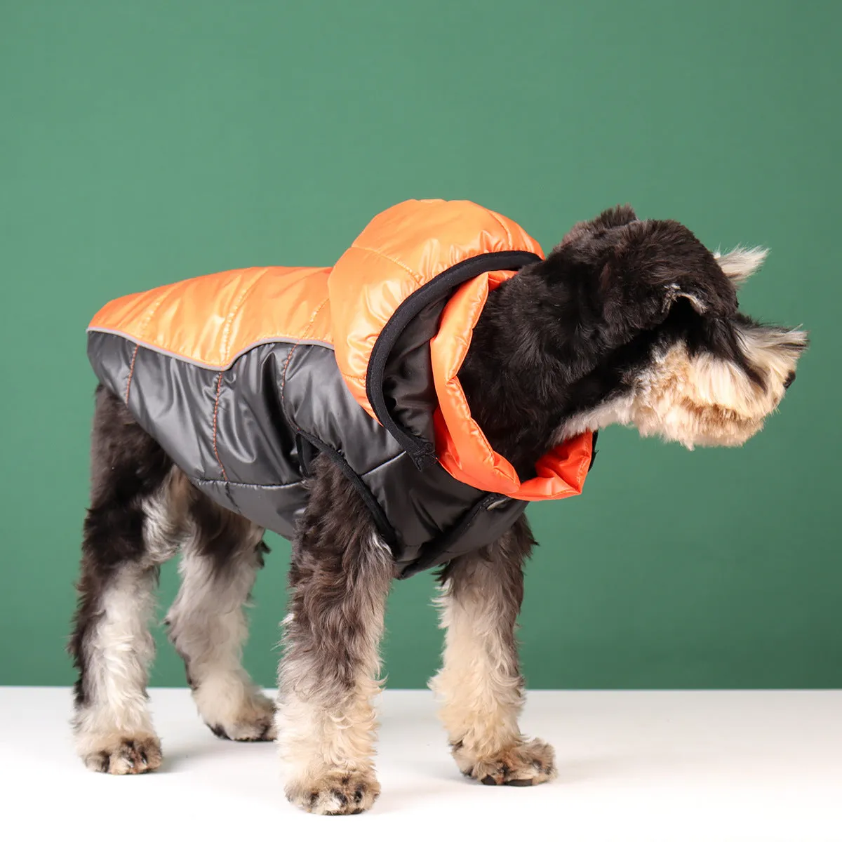 Ozzie - Dog Winter Hoodie with Removable Hat