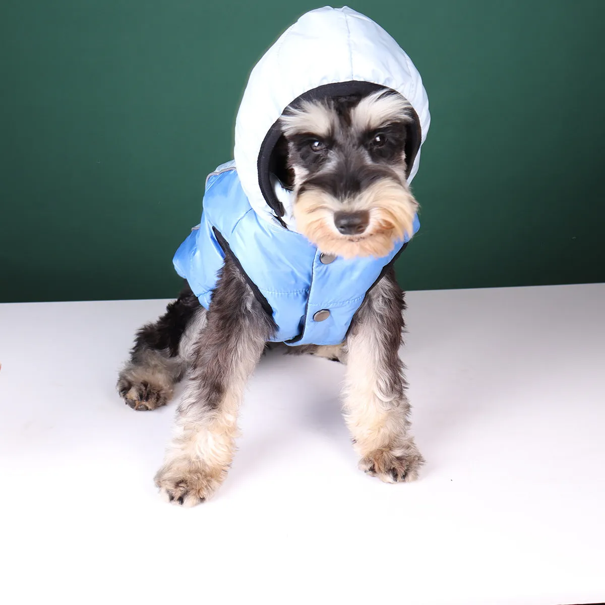 Ozzie - Dog Winter Hoodie with Removable Hat