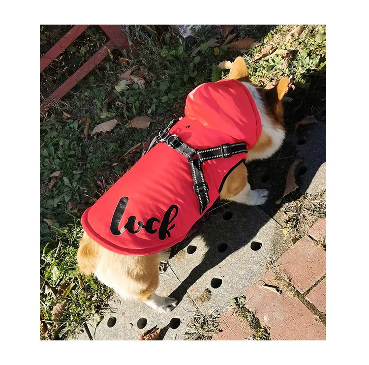 Ozzie - Pet Winter Hoodie