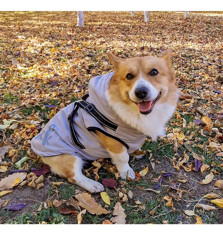 Ozzie - Pet Winter Hoodie