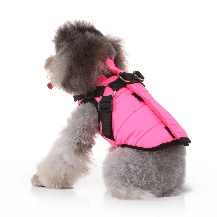 Ozzie - Pet Winter Jacket with Velcro