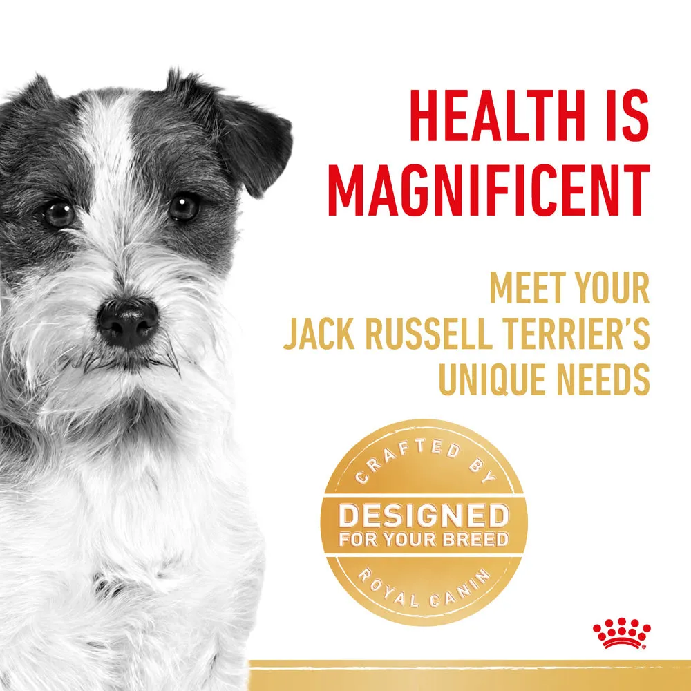 Royal Canin Dog Jack Russell Terrier Adult Dry Food