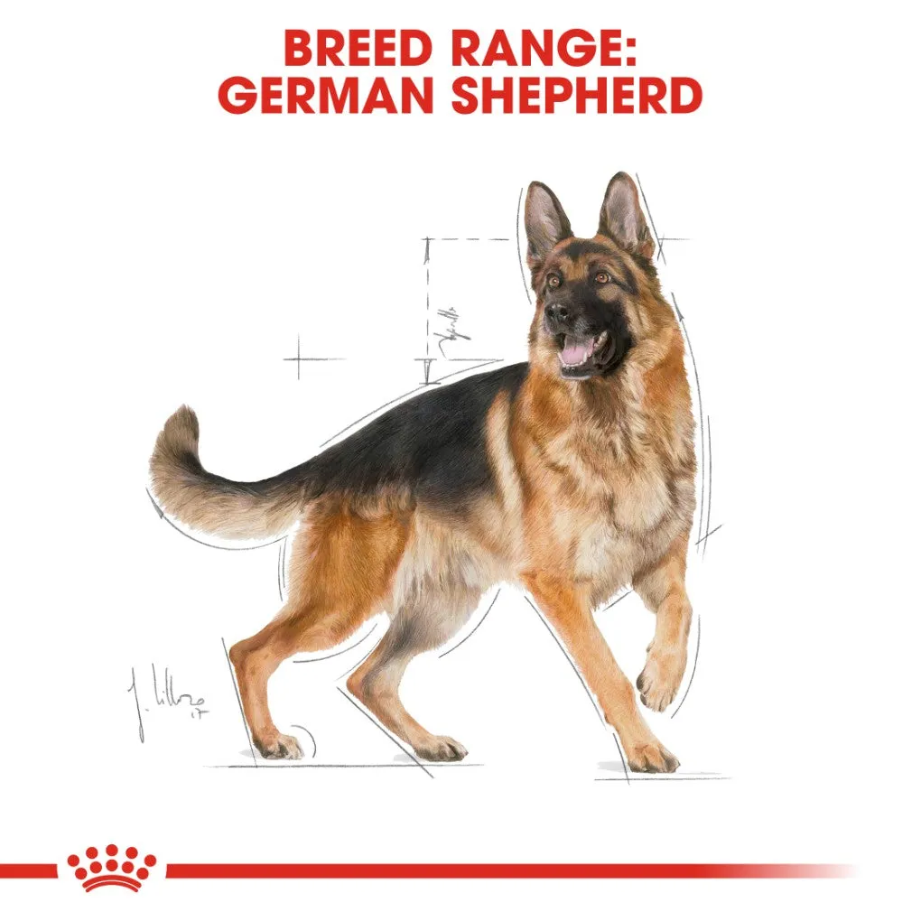 Royal Canin German Shepherd Adult Dog Food 11kg