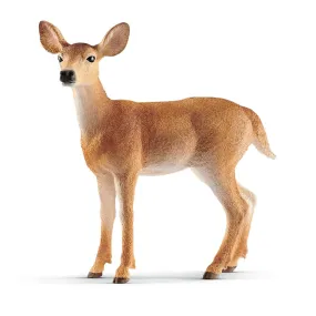 White-tailed doe